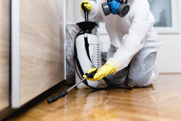 Best Mosquito Control Services  in Harlem, GA