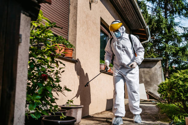 Best Flea Control Services  in Harlem, GA