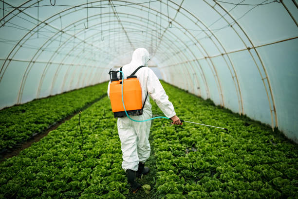 Pest Control for Restaurants in Harlem, GA
