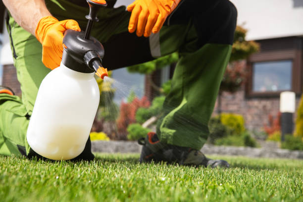 Pest Control Cost in Harlem, GA