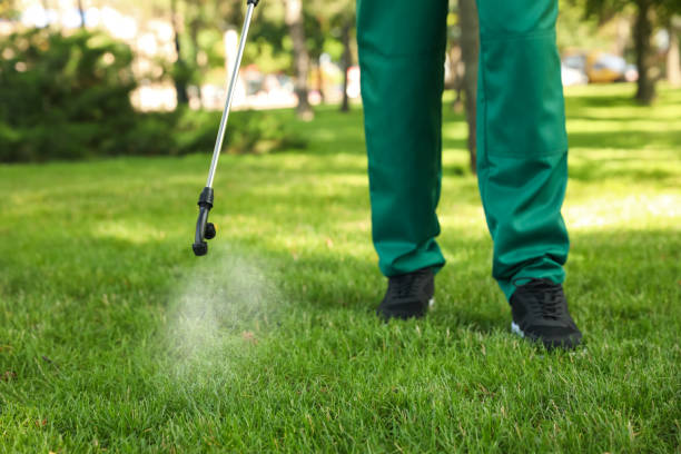 Best Pest Prevention Services  in Harlem, GA