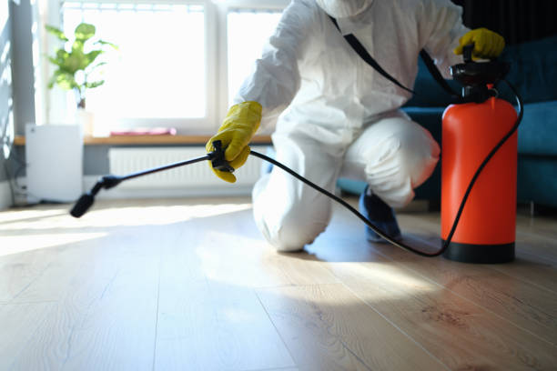 Professional Pest Control in Harlem, GA