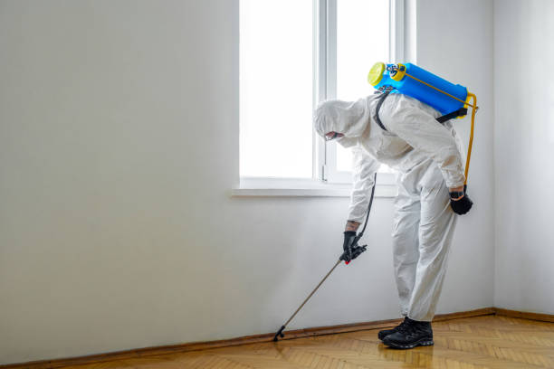 Best Rat Extermination Near Me  in Harlem, GA