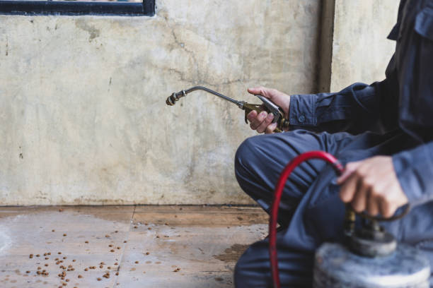 Best Affordable Pest Control Services  in Harlem, GA