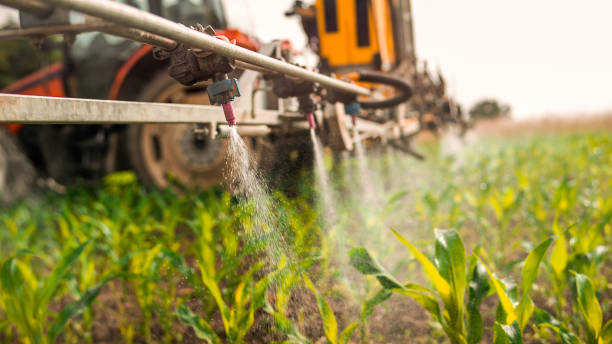 Best Commercial Pest Control Services  in Harlem, GA